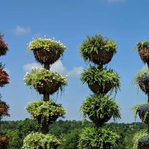 Meet your Posher, Lindsey - Picture 1 of 1